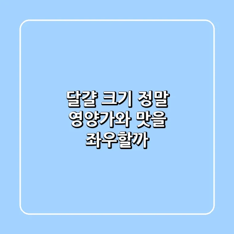 달걀 크기 정말 영양가와 맛을 좌우할까