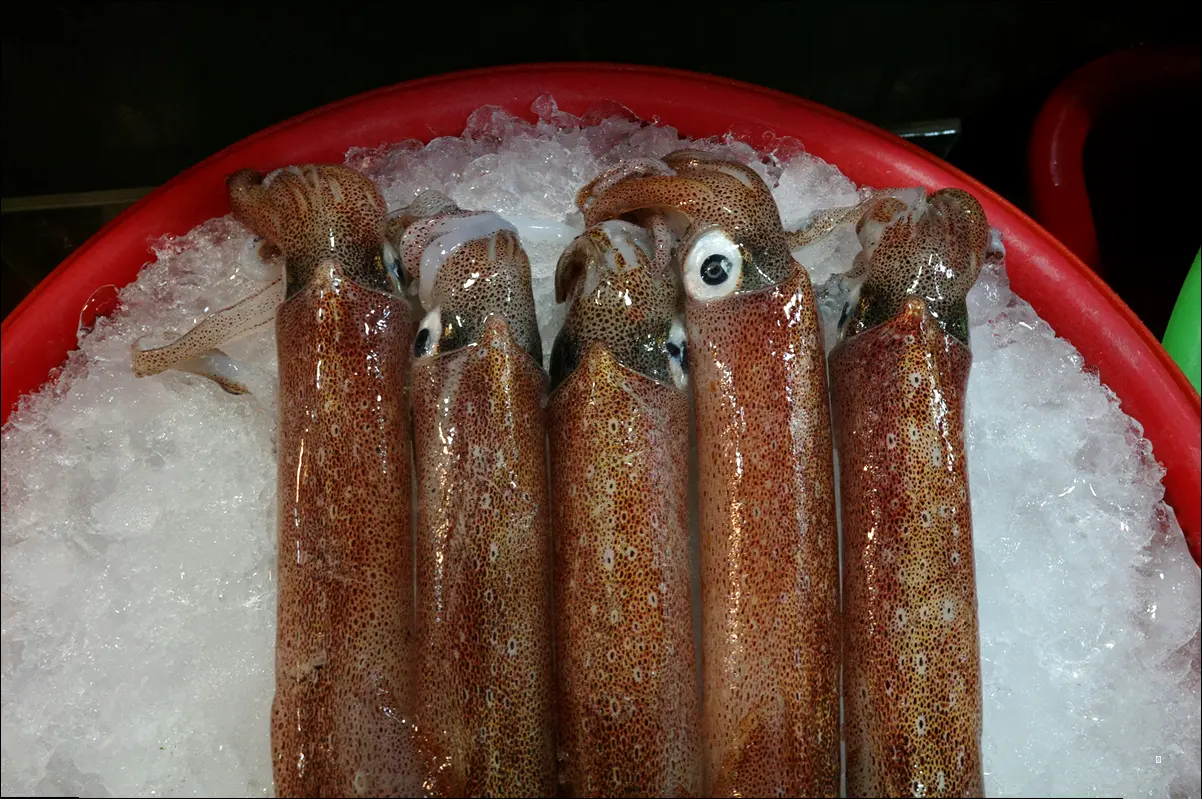 아산 짚불장어, 찾아가는 길!