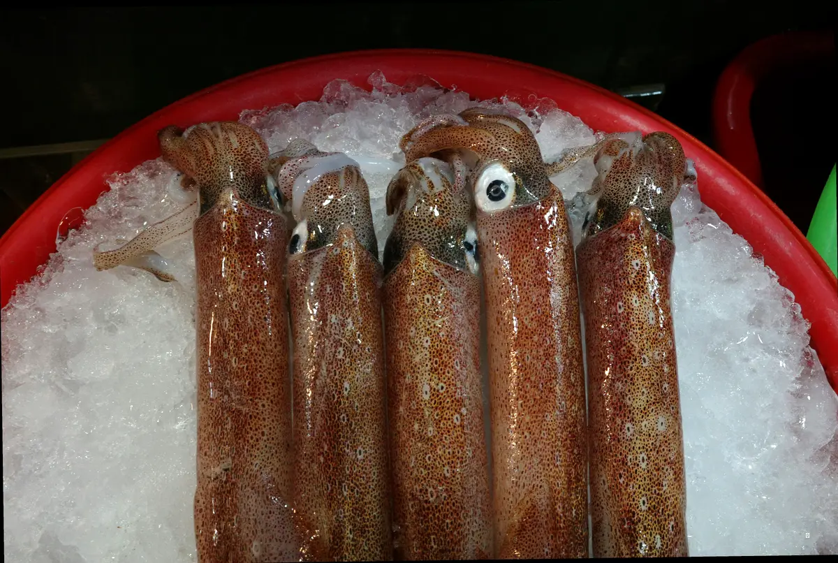 4. 해결책 2: 멈출 수 없는 맛! 풍성한 밑반찬과 특별한 장어탕