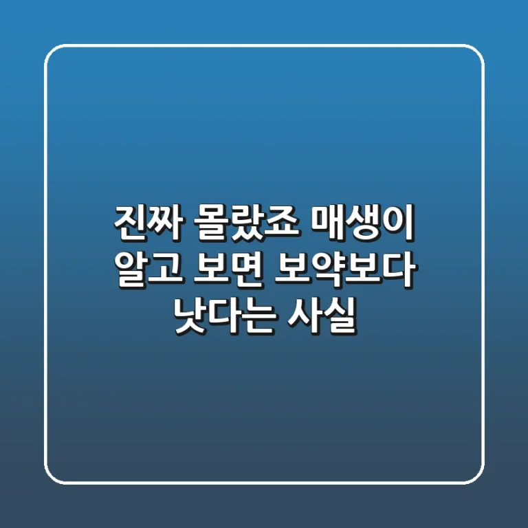 😲 진짜 몰랐죠? 매생이, 알고 보면 보약보다 낫다는 사실!