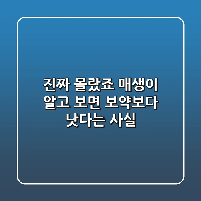 😲 진짜 몰랐죠? 매생이, 알고 보면 보약보다 낫다는 사실!
