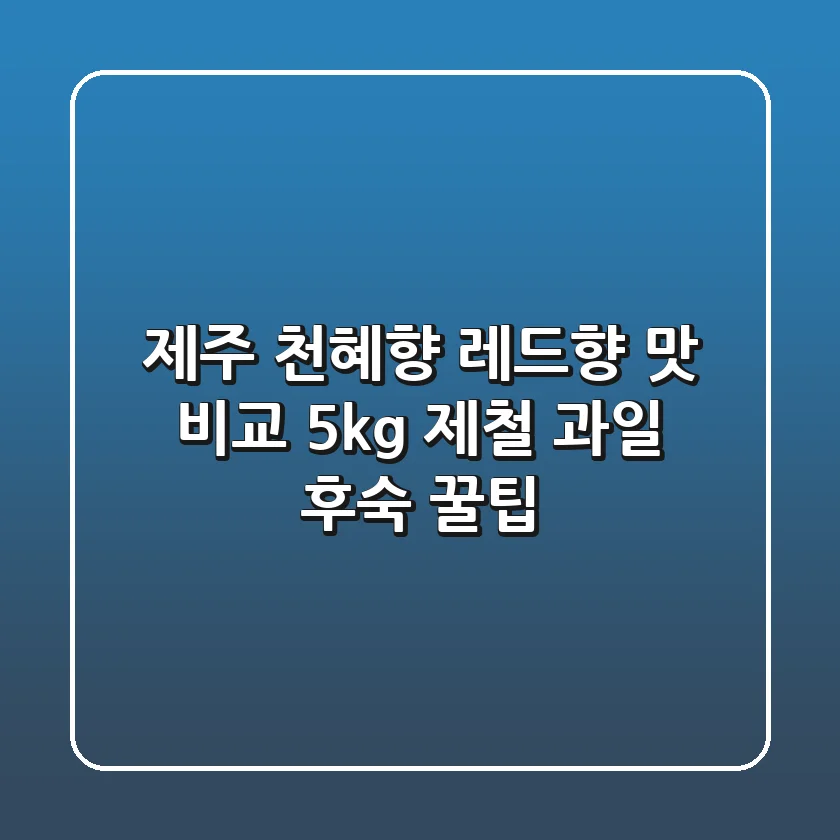 제주 천혜향 레드향 맛 비교: 5kg 제철 과일 후숙 꿀팁