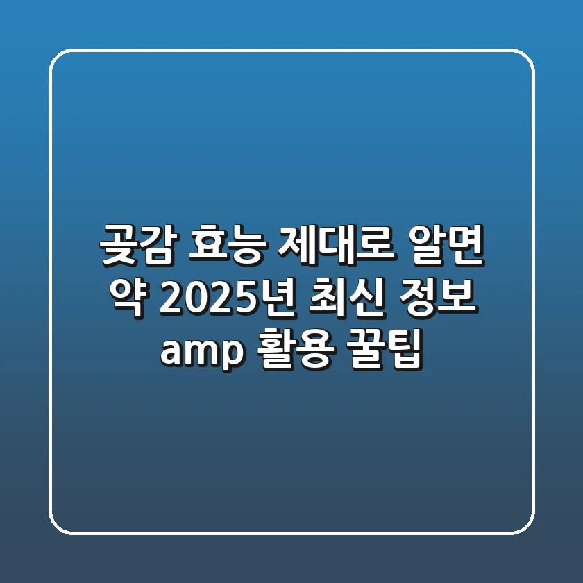 곶감 효능 제대로 알면 약! 2025년 최신 정보 & 활용 꿀팁