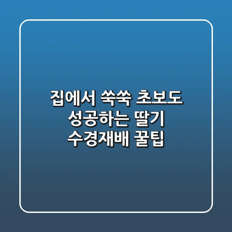 집에서 쑥쑥! 초보도 성공하는 딸기 수경재배 꿀팁