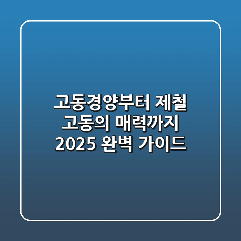 고동경양부터 제철 고동의 매력까지, 2025 완벽 가이드