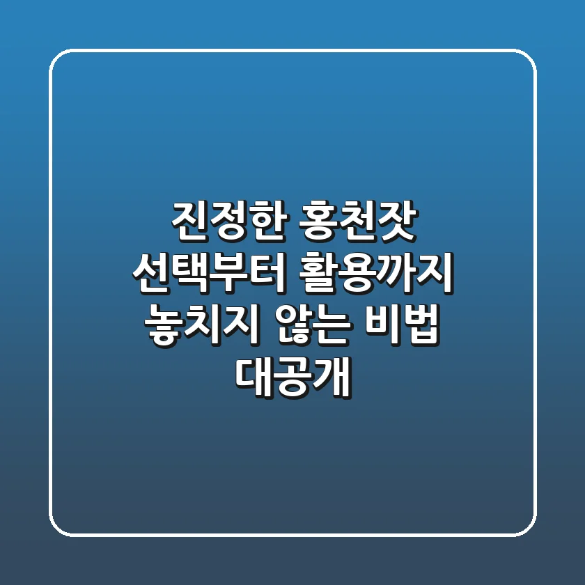 진정한 홍천잣, 선택부터 활용까지 놓치지 않는 비법 대공개