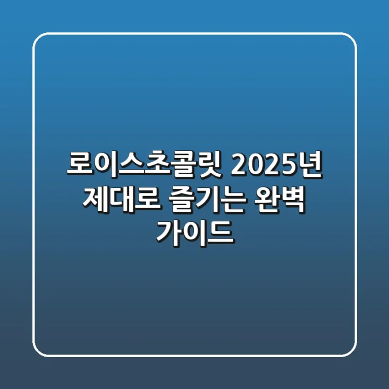 로이스초콜릿, 2025년 제대로 즐기는 완벽 가이드