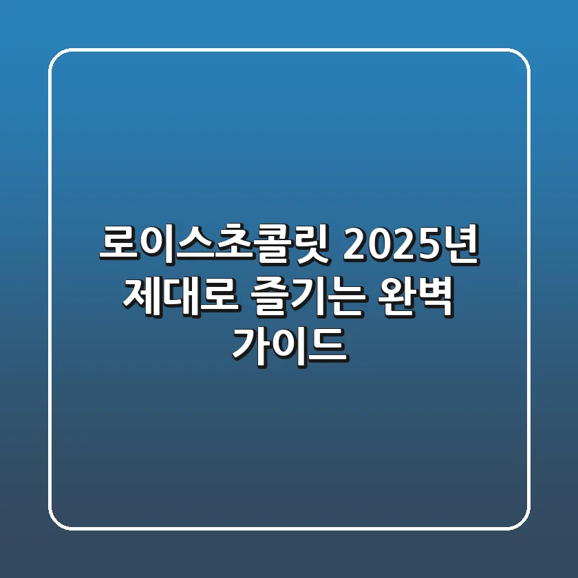 로이스초콜릿, 2025년 제대로 즐기는 완벽 가이드