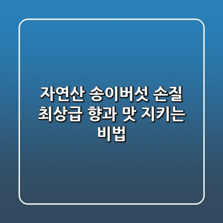 자연산 송이버섯 손질, 최상급 향과 맛 지키는 비법!