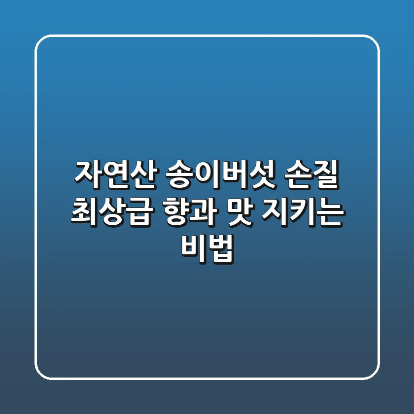 자연산 송이버섯 손질, 최상급 향과 맛 지키는 비법!