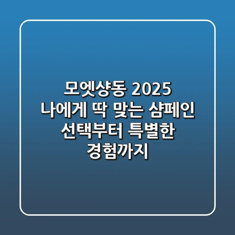 모엣샹동 2025, 나에게 딱 맞는 샴페인 선택부터 특별한 경험까지