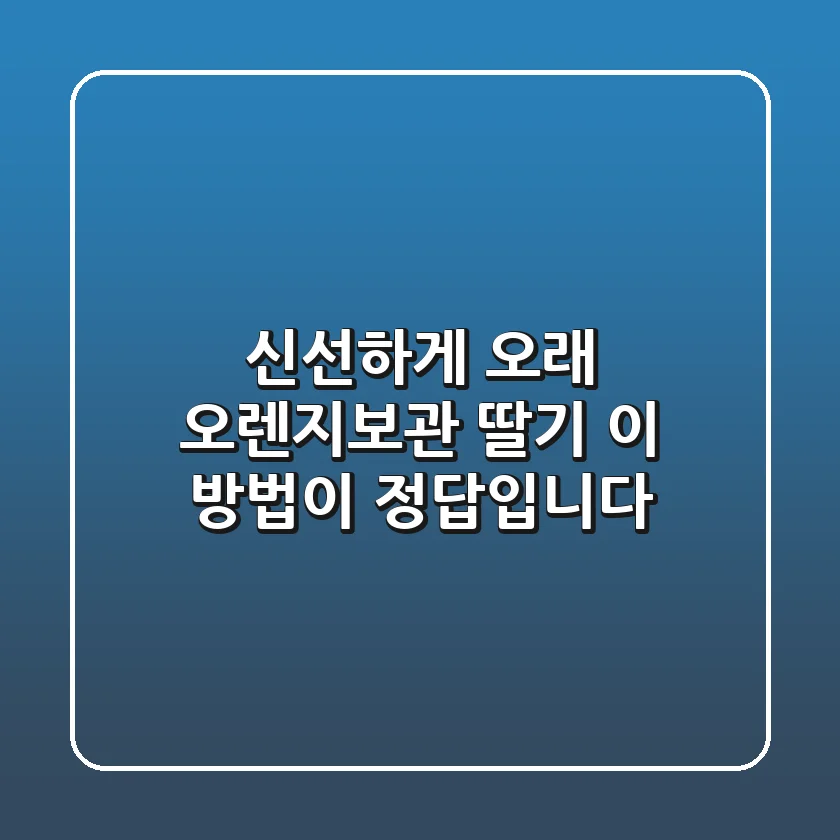 신선하게 오래! 오렌지보관 딸기, 이 방법이 정답입니다