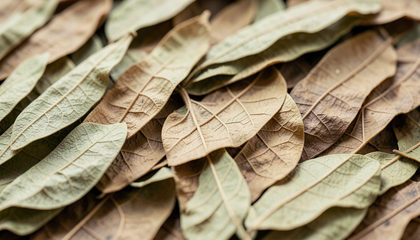 피마자잎의 '독성' 진실과 안전한 활용 (이것만은 꼭 아세요!)