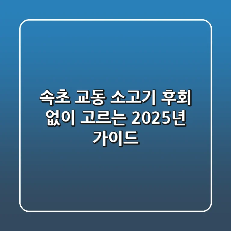 속초 교동 소고기, 후회 없이 고르는 2025년 가이드