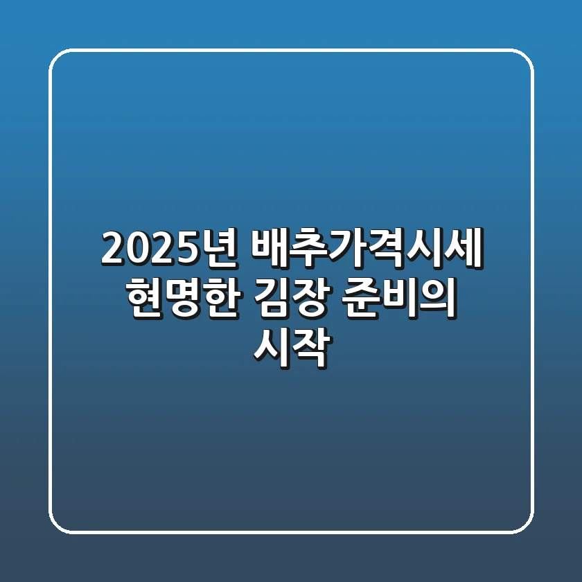 2025년 배추가격시세, 현명한 김장 준비의 시작