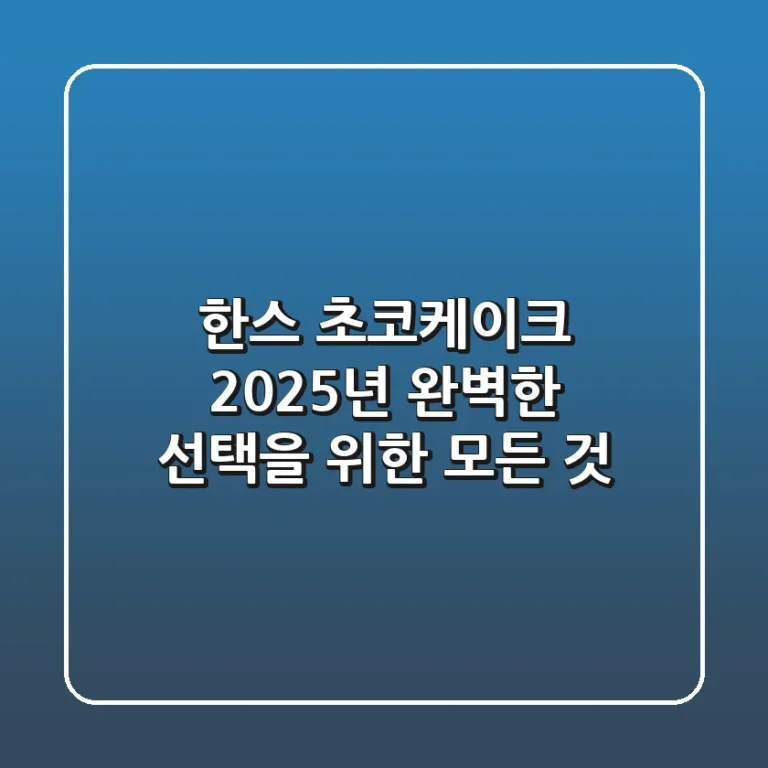 한스 초코케이크, 2025년 완벽한 선택을 위한 모든 것