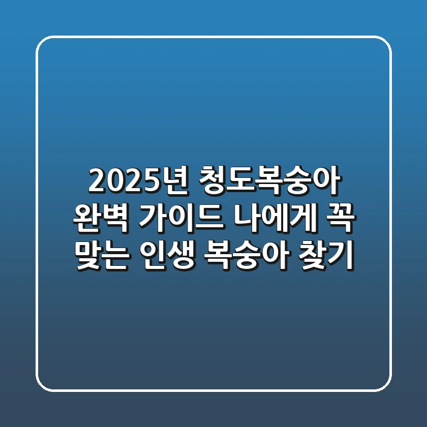 2025년 청도복숭아 완벽 가이드: 나에게 꼭 맞는 인생 복숭아 찾기!