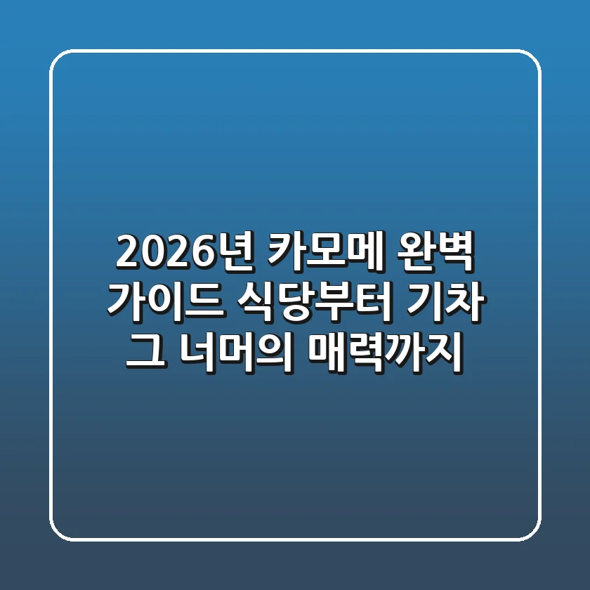 2026년, '카모메' 완벽 가이드: 식당부터 기차, 그 너머의 매력까지